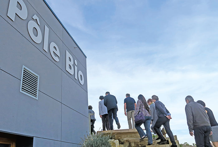 pole bio 1