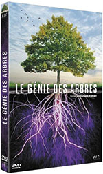 genie des arbres 3