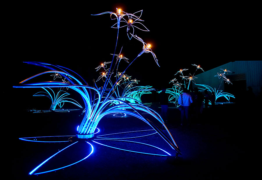 Photographie de Lili illuminées, présentées en soirée à l’écosite d’Eurre, lors de leur sortie d’atelier.