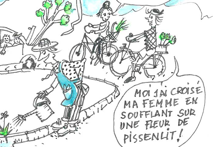 rhodoid 13 octobre 2023