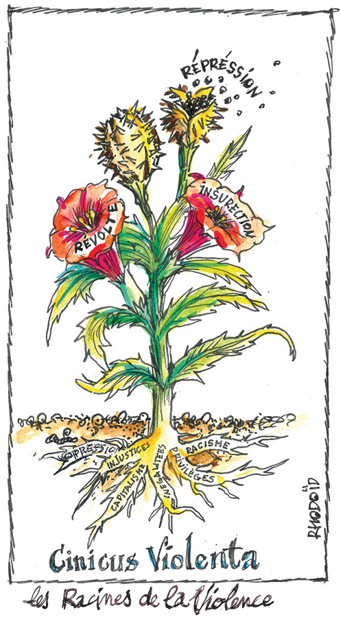 rhodoid 20oct23 2